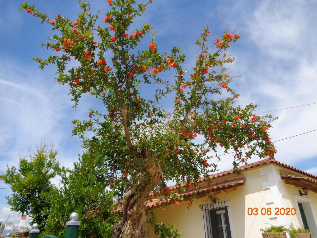 Traditional Guesthouse Asimakis Anifion Exterior foto